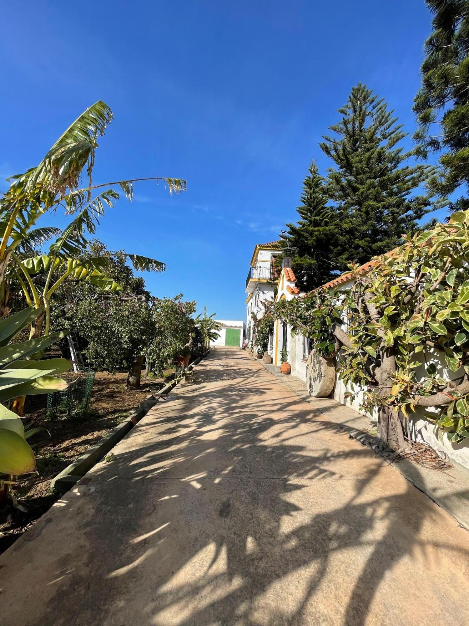 Finca La Tacita - Petunia Conil De La Frontera Exterior foto